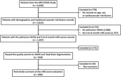Excessive White Matter Hyperintensity Increases Susceptibility to Poor Functional Outcomes After Acute Ischemic Stroke